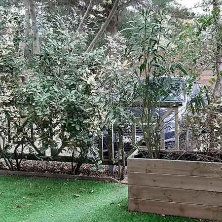 Apartamento Bassin D'arcachon Charmant T2 Jardin Ares