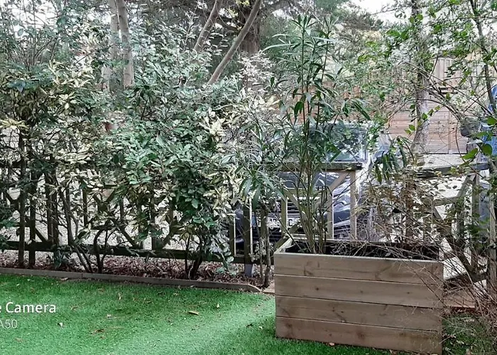 Апартаменты Bassin D'arcachon Charmant T2 Jardin Арес